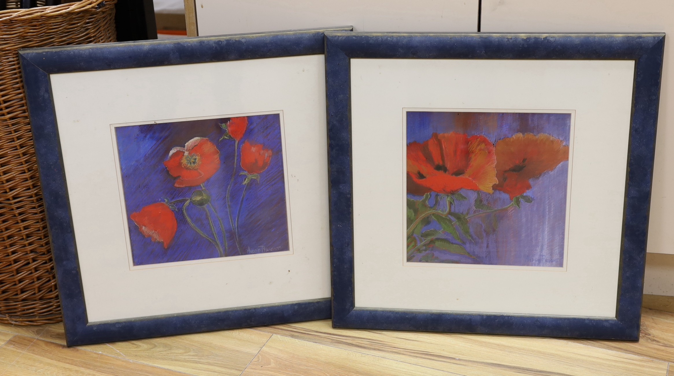 Madge Bright, two pastels, Studies of poppies, signed, 28 x 28cm and 26 x 26cm